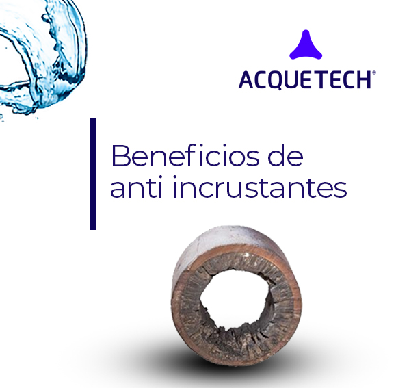 Beneficios de anti incrustantes