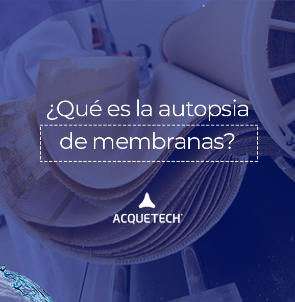 ¿Qué es la autopsia de membranas?