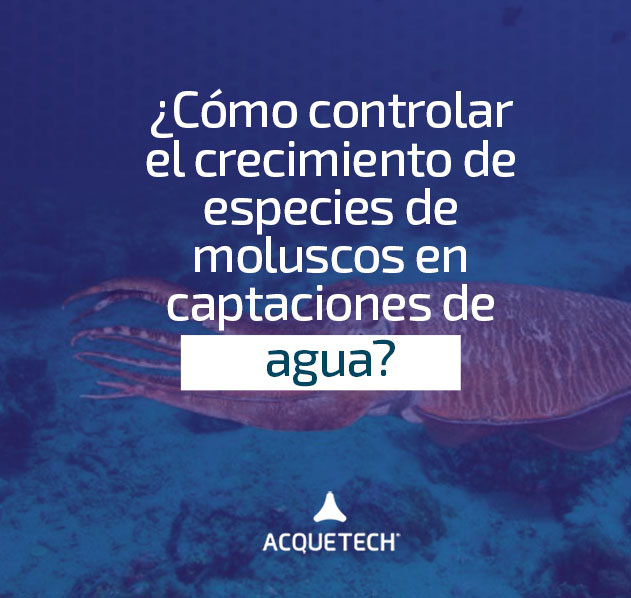 ¿Cómo controlar el crecimiento de especies de moluscos en captaciones de agua?