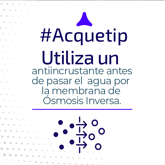 Utiliza un anticrustante antes de pasar el agua de osmosis inversa